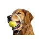 Premier Pet Gentle Leader Headcollar for Dogs large for pets 60 - 130-lbs