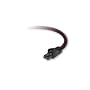Belkin F2CP00103RDKS Gigabit Gaming Network Cable (0.91 meters, Red)