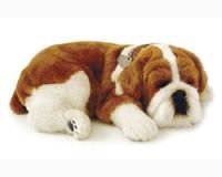 image link - - B000O5DTO0