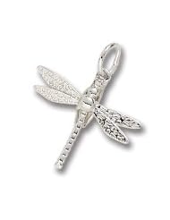 Dragonfly Charm