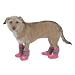 Fashion Pet MFP Most Fashionable Fleece Dog Boots Booties - Medium - Pink
