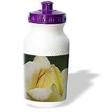 Rebecca Anne Grant Photography Nature Flowers - Yellow Rose Macro - Water Bottles