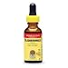   - Bladderwrack Extract - 2 oz., (Nature s Answer)