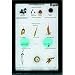 Seed Dispersal Set