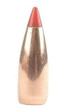 20Cal .204 40gr V Max (250)