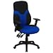 High Back Mesh Ergonomic Task Chair with Adjustable Arms [BT-6001-BEBK-GG]