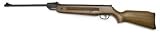 Winchester 800X air rifle