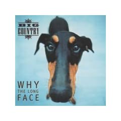 Why the Long Face [VINYL]