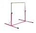Sporting Goods : Nastia Liukin Jr. Training Bar