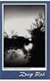 Deep Red (Contemporary Poetry Series)