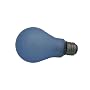 Light Bulb Frosted Full Spectrum (60 Watt) 1 Count