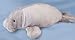 Plush Manatee 9