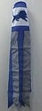 Detroit Lions 57 Windsock