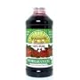Dynamic Health Concentrate, Pomegranate, 16-Ounce