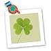 Green Clover- Irish Art- St. Patricks Day - 10x10 Quilt Square