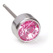 Blomdahl Silver Titanium Bezel Rose Earrings (5 mm)