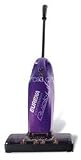 EUREKA STICK BROOM