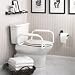 Moen Toilet Safety Rail