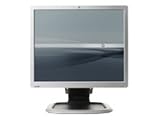 HP L1950 - Flat panel display - TFT - 19 - 1280 x 1024 / 75 Hz - 300 cd/m2 - 800:1 - 5 ms - 0.294 mm - DVI-D, VGA - silver, carbonite black - TAA