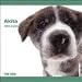 Akita 2009 Wall Calendar