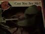 Can You See Me? (Animals Q & a Series)