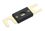 100AMP ANL FUSE 1PC