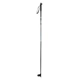 Alpina ASC Touring Poles