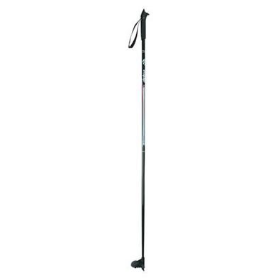 Buy Alpina ASC Touring Poles by Alpina