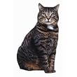 Brown Tabby Cat Die-Cut Photographic Magnet