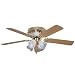 Kitchen & Housewares : Emerson CF875SPB Crystal LX Fan - Traditional Polished Brass Ceiling Fan 52