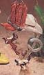 Western Dangle Ornament