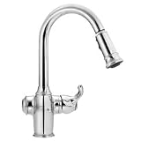 ShowHouse Chrome Woodmere Pull-Out Spray