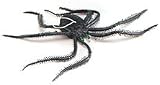 Spiders.Black 10