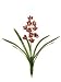 Pack of 6 Artificial Burgundy Mini Cymbidium Orchid Silk Flower Sprays 22"