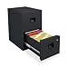 Sentry Safe Fire-Safe 6000 2-Drawer Vertical File Cabinet