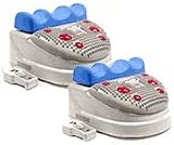 Chi Evergain 308DL Twin Pack