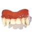 vampire fangs child costume accessory
