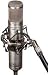 Apex Electronics 460 Tube Microphone