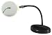 Flex Neck Magnifier