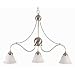 Liz Jordan Lighting 1419SB Satin Brass Palisades Multi Light Pendant from the Palisades Collection