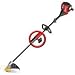 Troy-Bilt TB575SS 17-Inch 29cc 4-Cycle Gas-Powered Straight-Shaft String Trimmer with Detachable Shaft