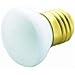 Westinghouse Lighting Corp 25-watt R14 Flood Light Bulb