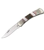 Buck Knives 110PESLE Folding Hunter Bloody Jasper Lockback Knife with Yellow-Lip Pearl Handles
