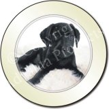BLACK LABRADOR Led on Fur Tax Disc Holder