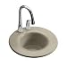 Kohler K-6490-3-G9 Cordial Self-Rimming Stainless Steel Bar Sink K-6490-3-G9 Sandbar