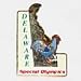 Special Olympics Commemorative Lapel Pin  Delaware  - Decorative Collectible
