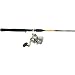 Daiwa Sealine LCX Linecounter/Cabela's Depthmaster Trolling Combo