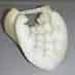 Convoulted Elbow Protector