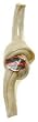 PTAG CHUNKY GLUCO 13" KNT ROLL