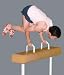 Senior Vault Horse w/o Pommels